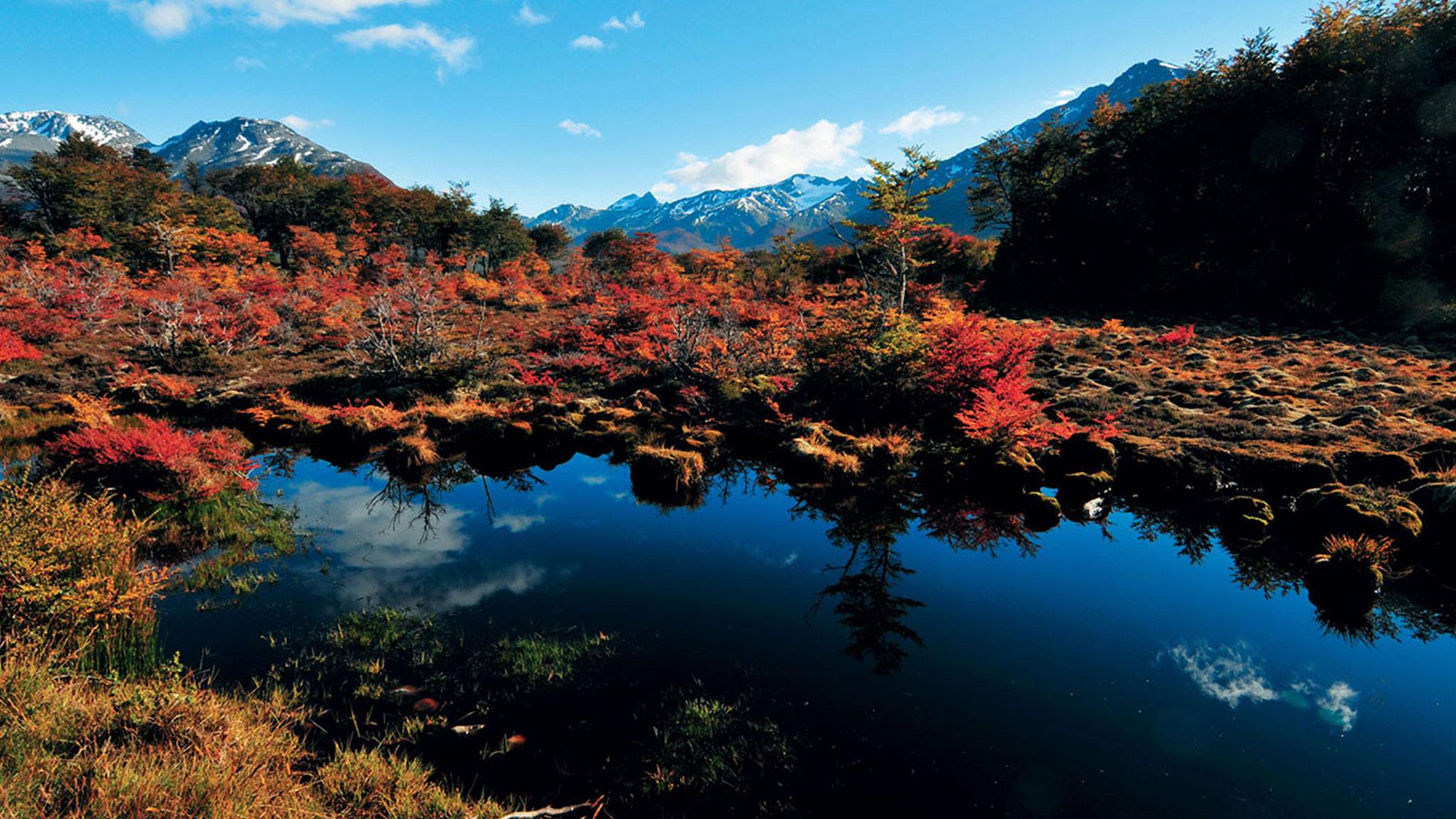 Arakur Ushuaia Resort & Spa מראה חיצוני תמונה Autumn colours at the Ozegahara